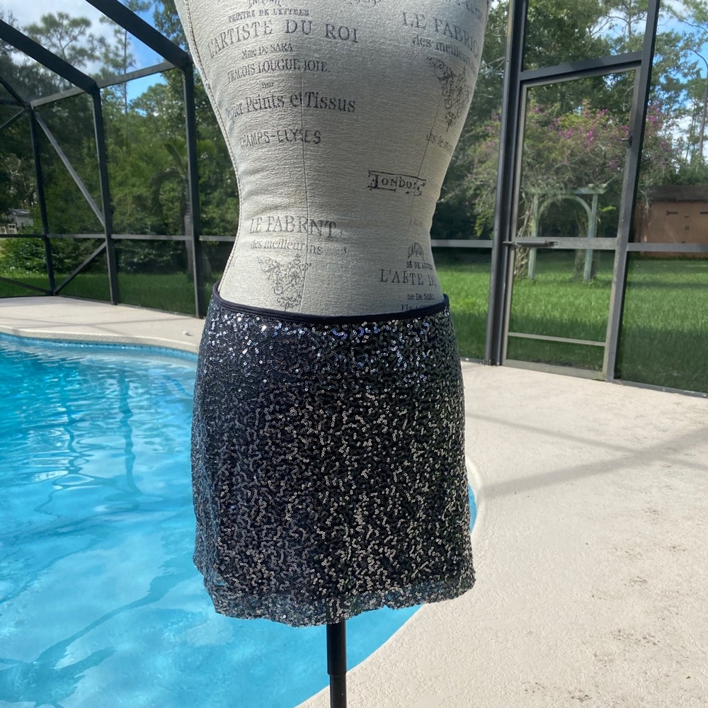 Sequin Skirt express